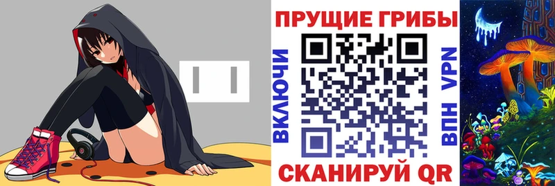 Псилоцибиновые грибы Psilocybe  где купить   Мурино 